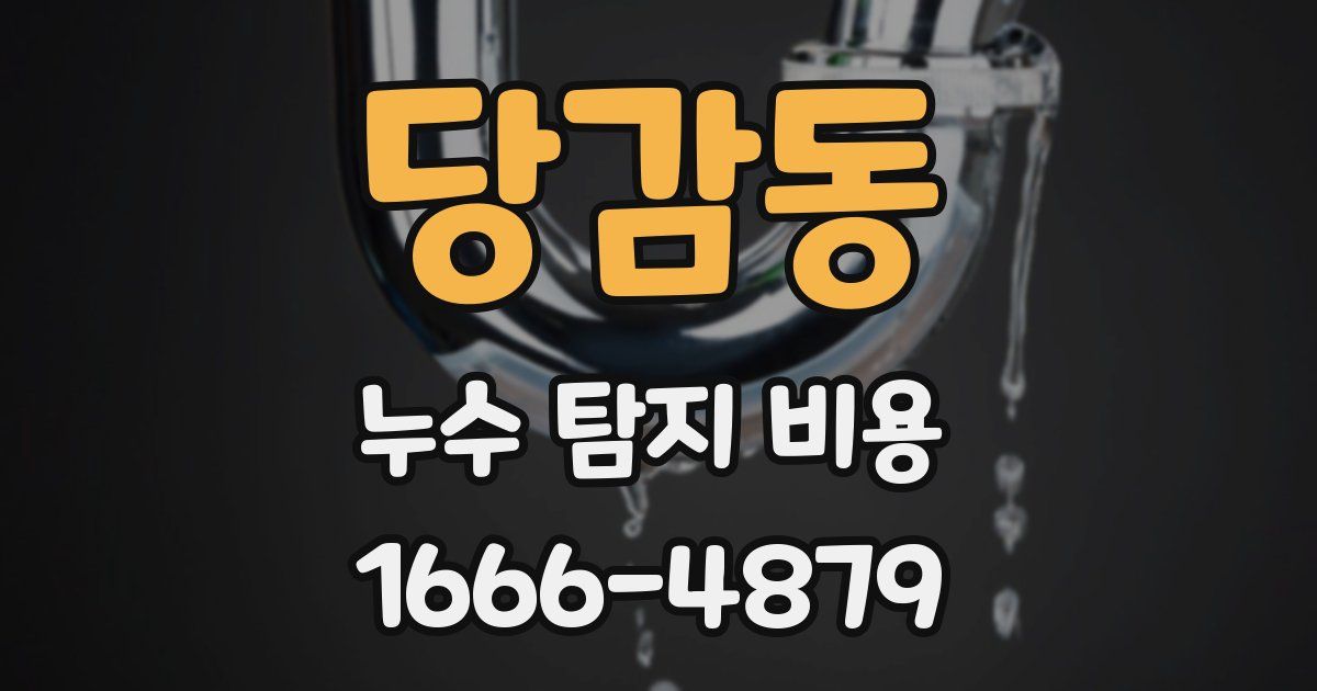 당감동 누수 탐지 비용