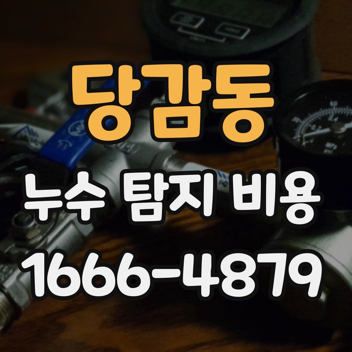 당감동 누수 탐지 비용