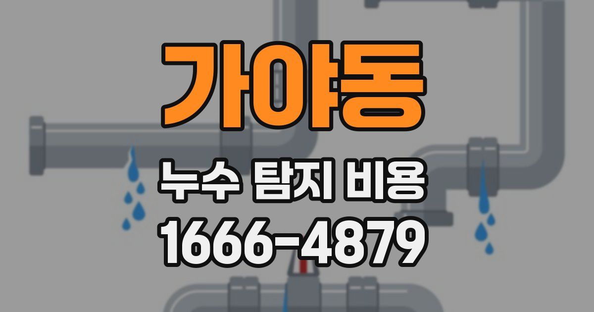 가야동 누수 탐지 비용