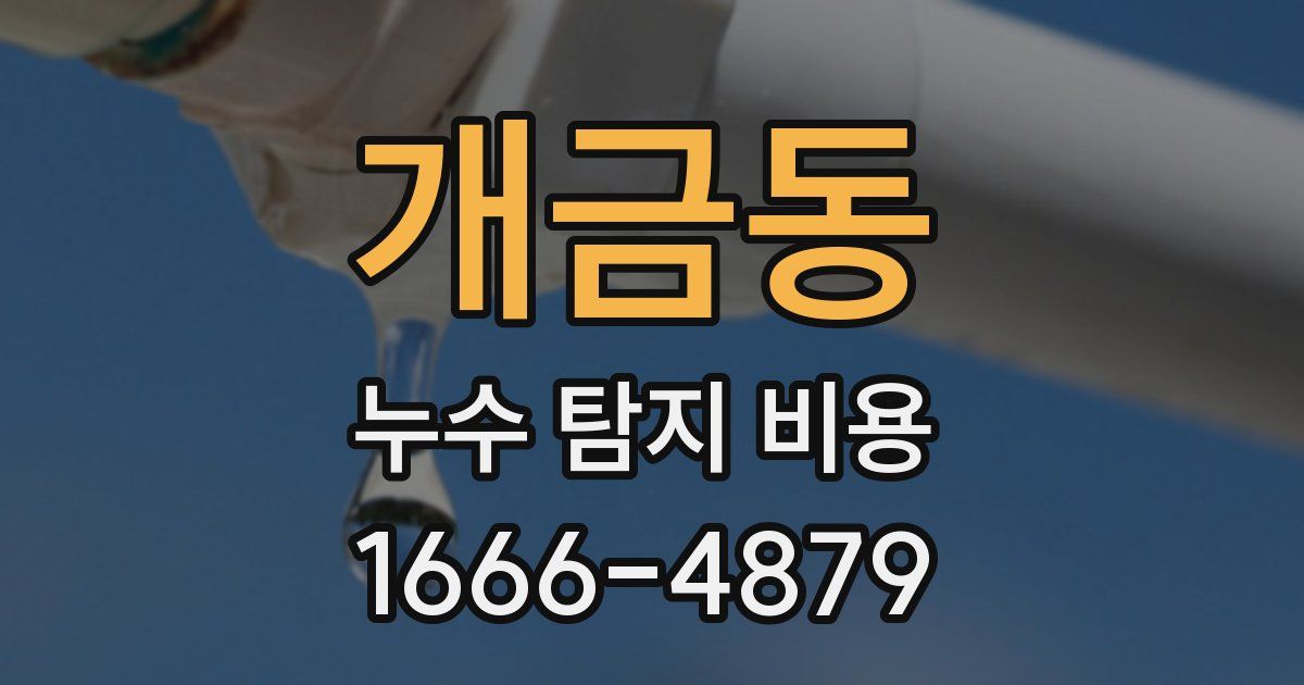 개금동 누수 탐지 비용