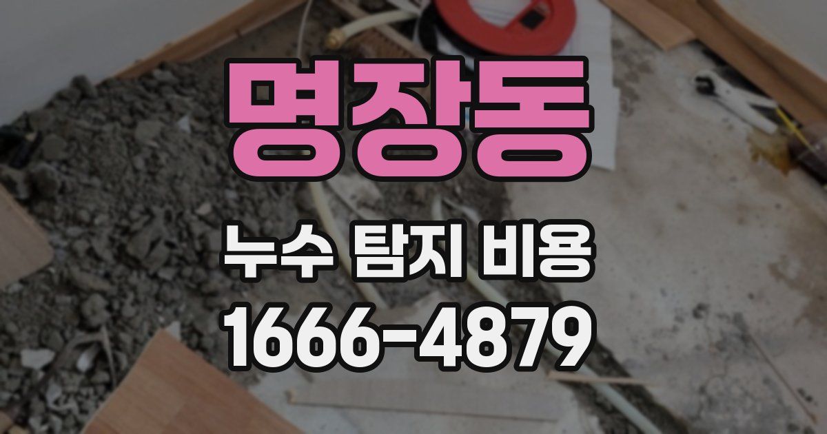 명장동 누수 탐지 비용