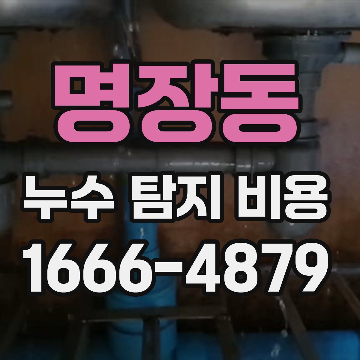 명장동 누수 탐지 비용