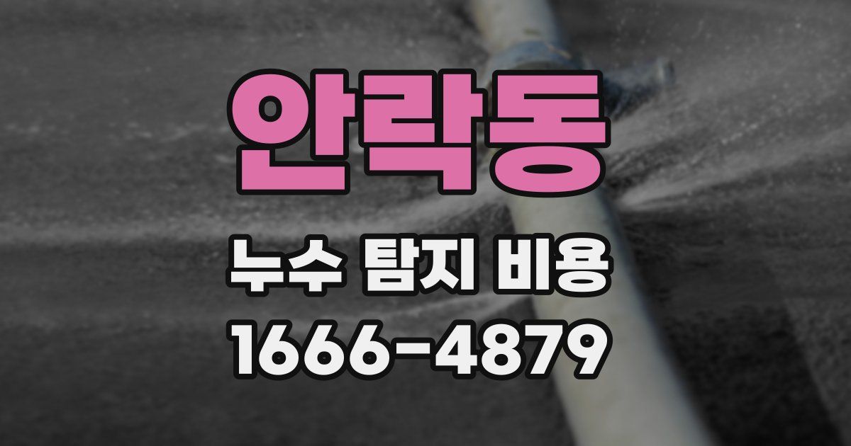 안락동 누수 탐지 비용