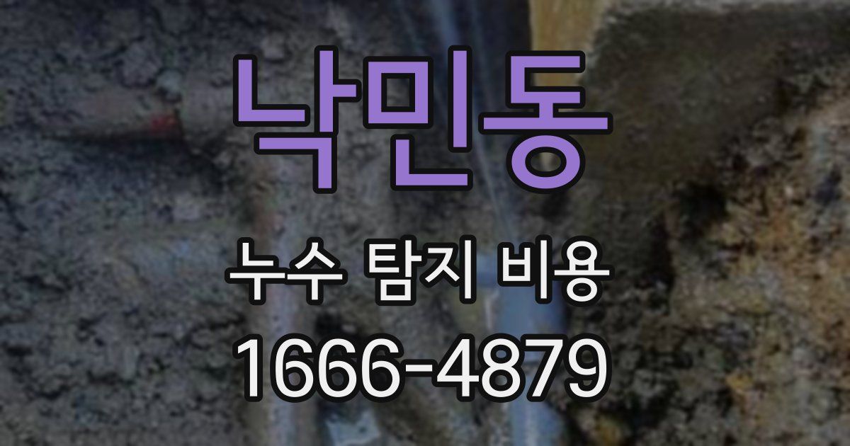 낙민동 누수 탐지 비용