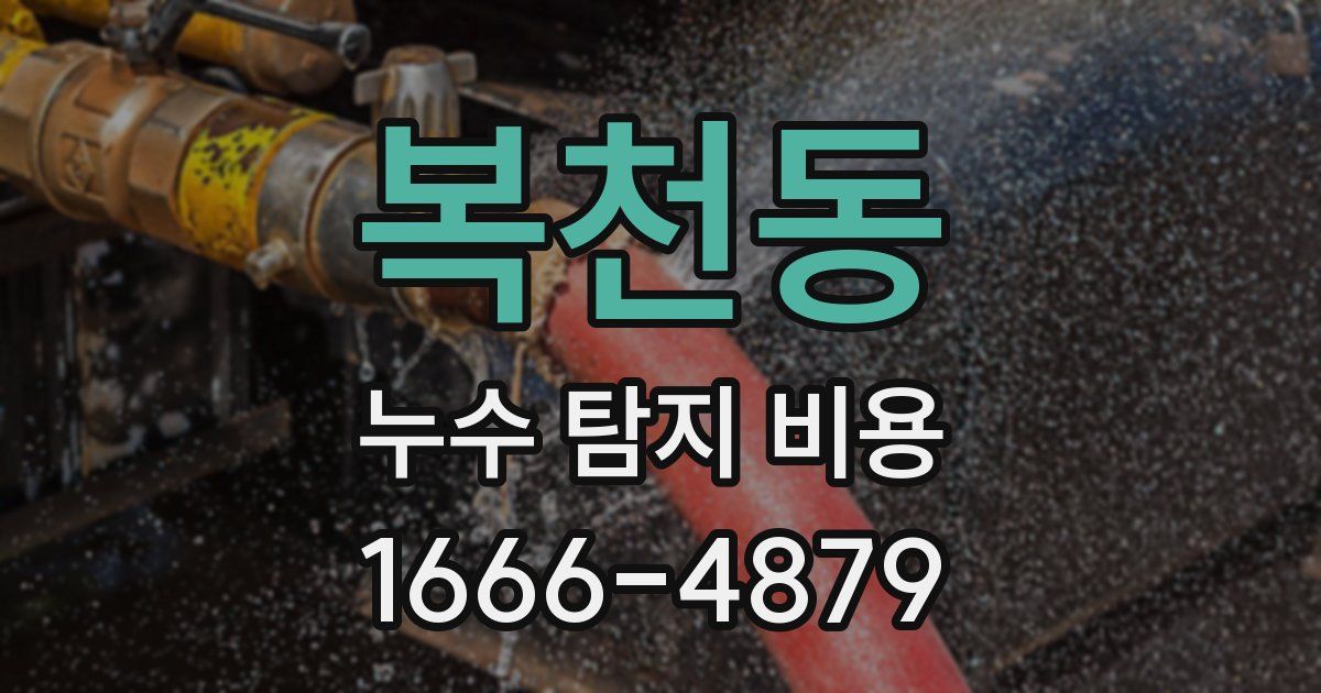 복천동 누수 탐지 비용