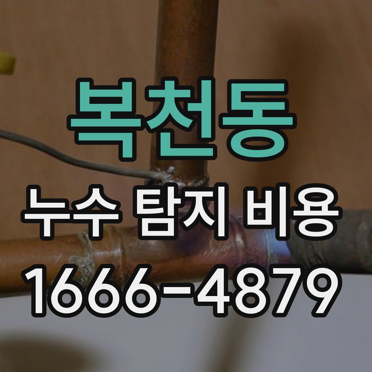 복천동 누수 탐지 비용