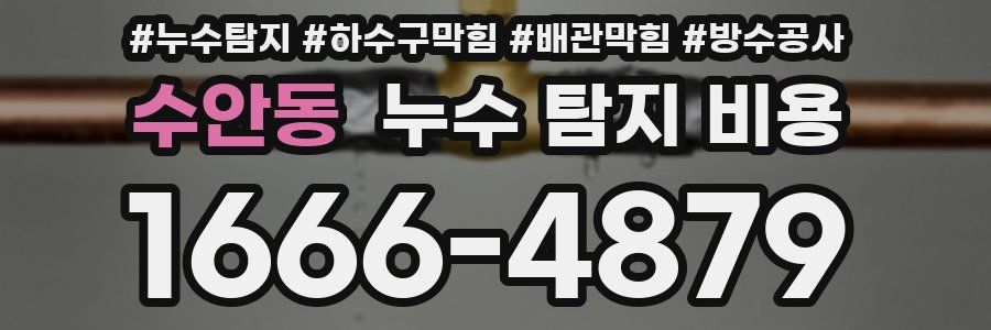 수안동 누수 탐지 비용