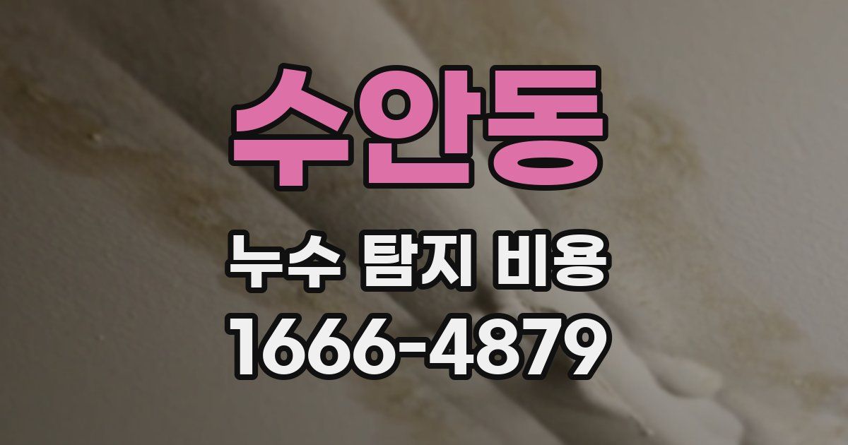 수안동 누수 탐지 비용