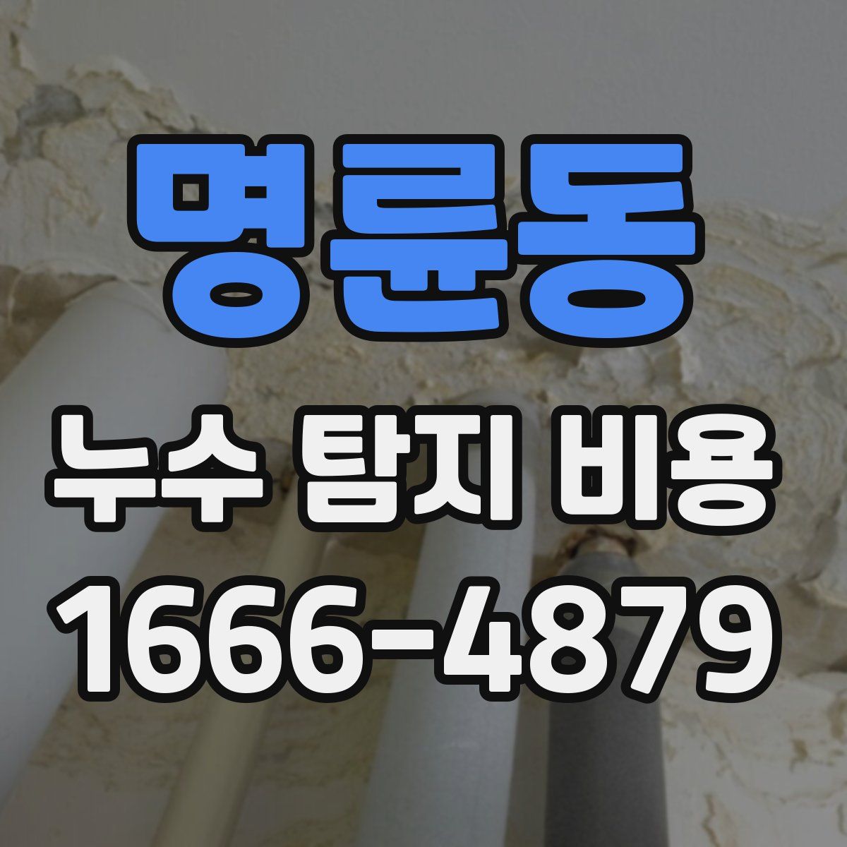 명륜동 누수 탐지 비용