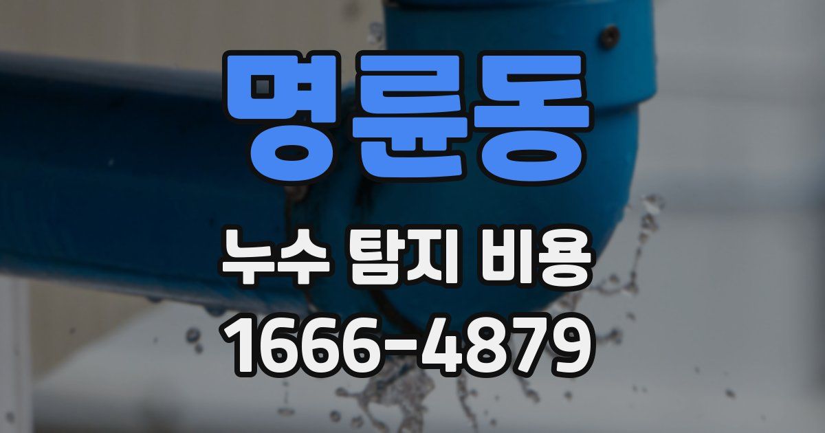 명륜동 누수 탐지 비용