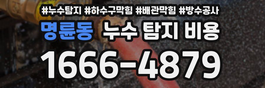 명륜동 누수 탐지 비용
