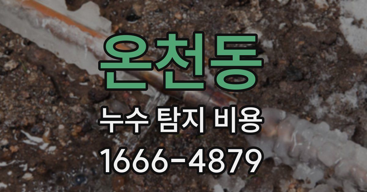 온천동 누수 탐지 비용