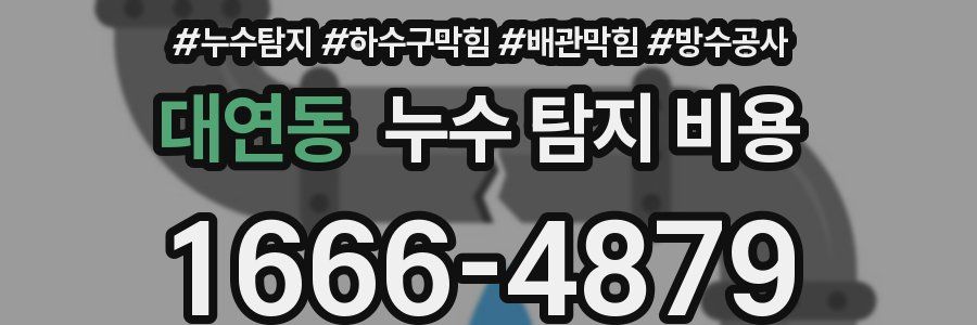 대연동 누수 탐지 비용