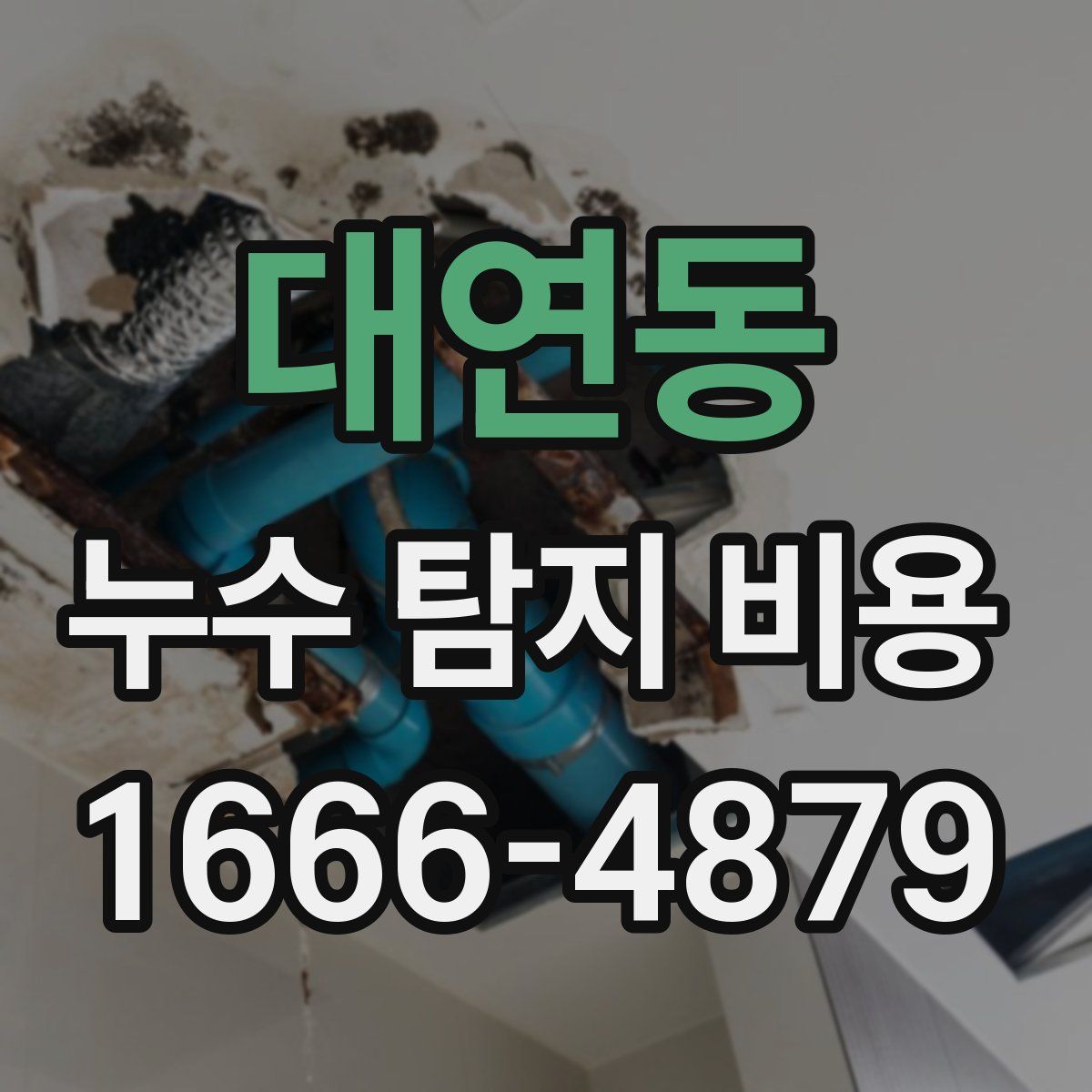 대연동 누수 탐지 비용