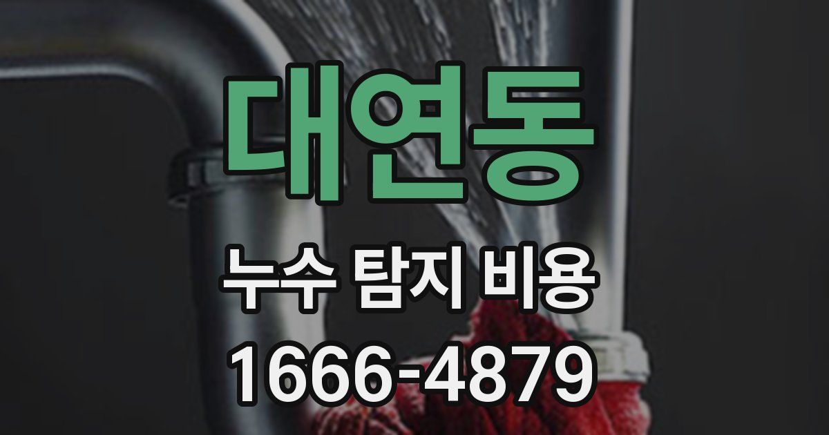 대연동 누수 탐지 비용