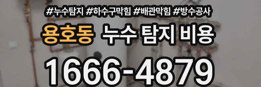 용호동 누수 탐지 비용