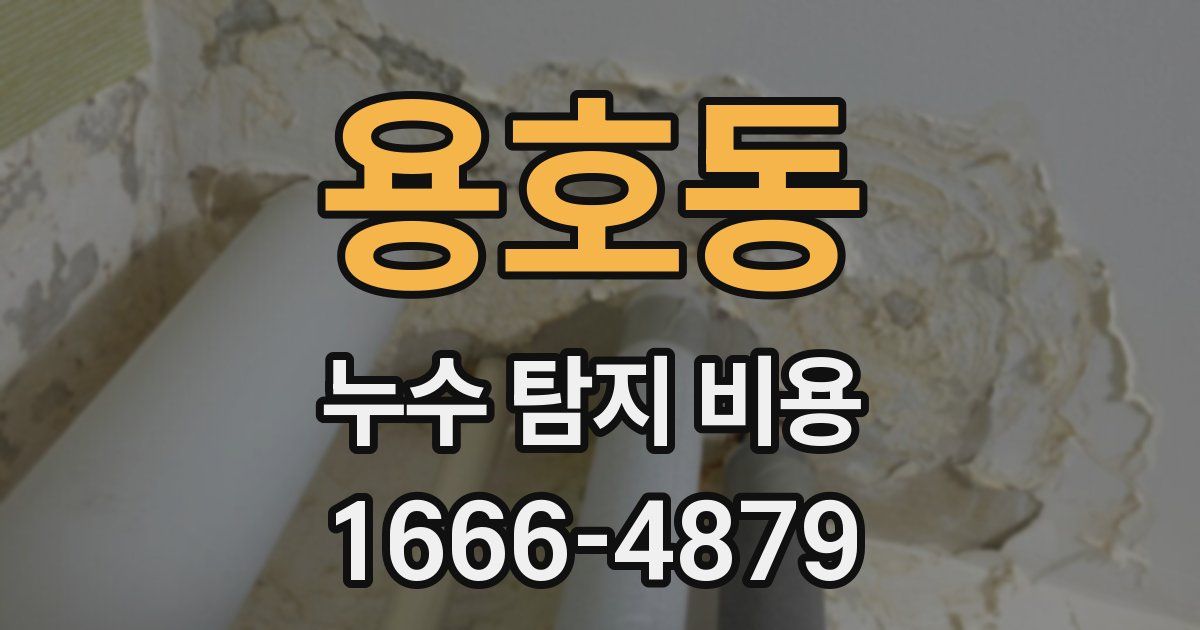 용호동 누수 탐지 비용