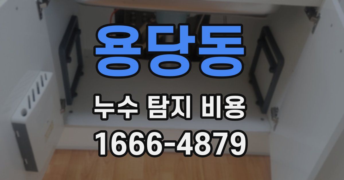 용당동 누수 탐지 비용