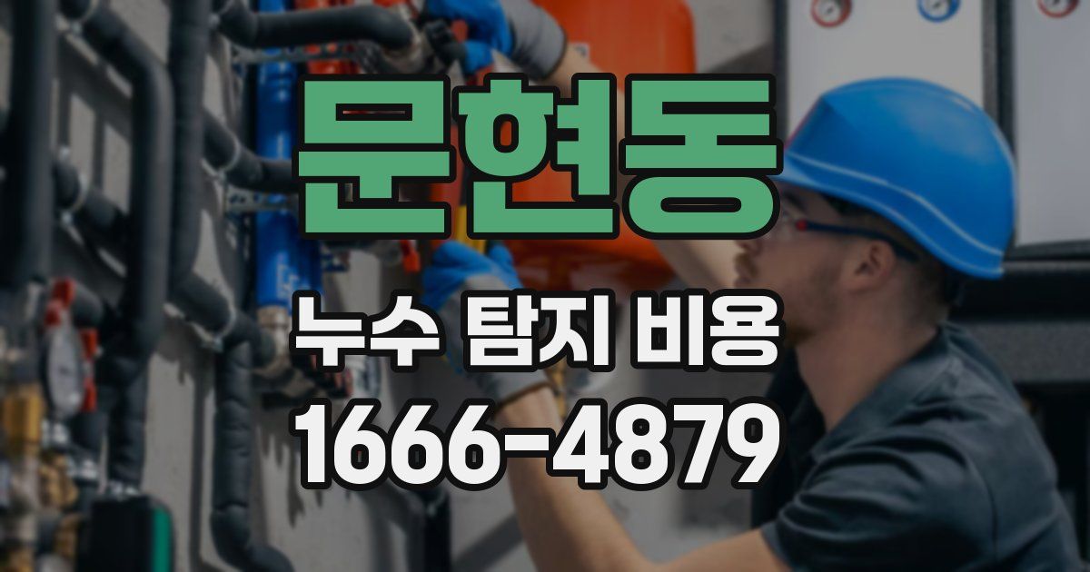 문현동 누수 탐지 비용