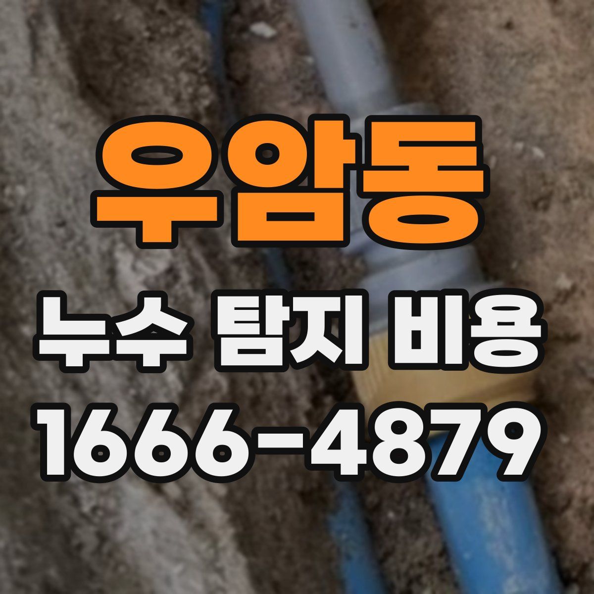 우암동 누수 탐지 비용