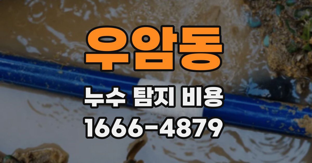 우암동 누수 탐지 비용