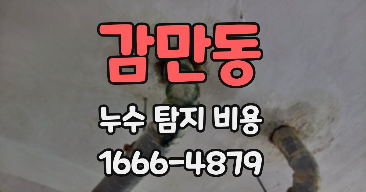 감만동 누수 탐지 비용