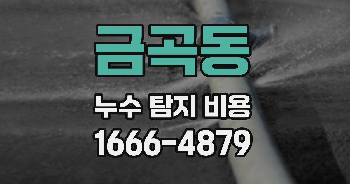 금곡동 누수 탐지 비용