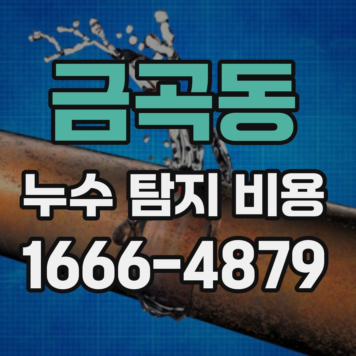 금곡동 누수 탐지 비용