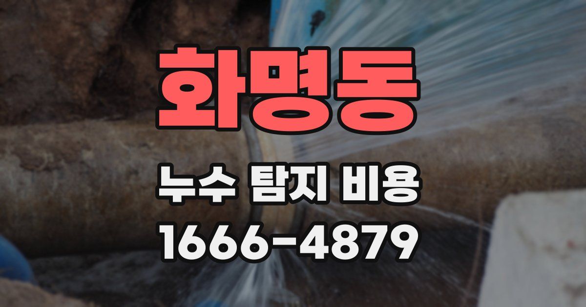 화명동 누수 탐지 비용