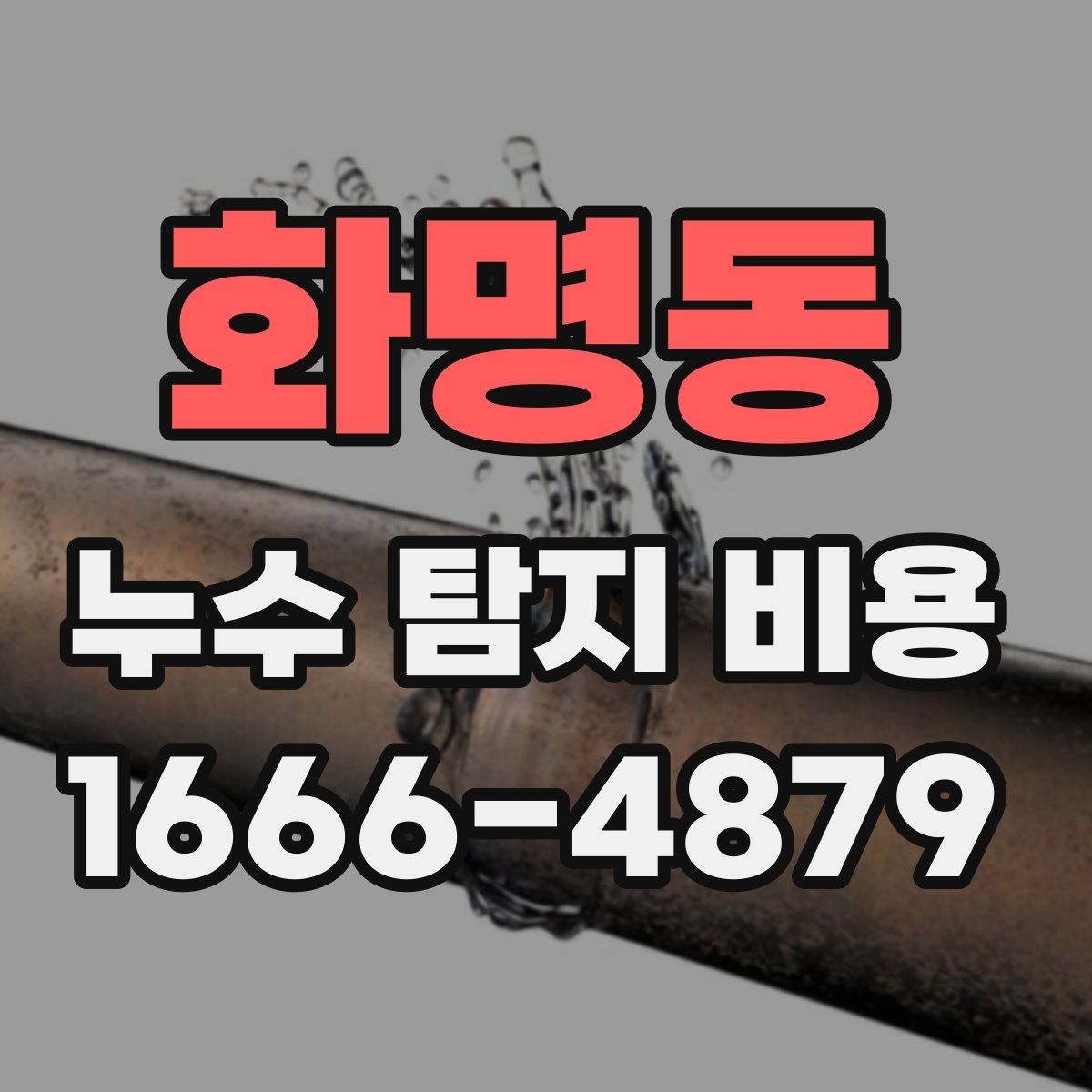 화명동 누수 탐지 비용