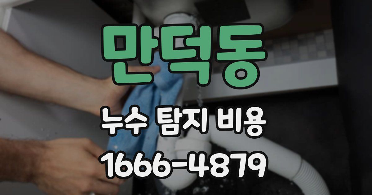 만덕동 누수 탐지 비용