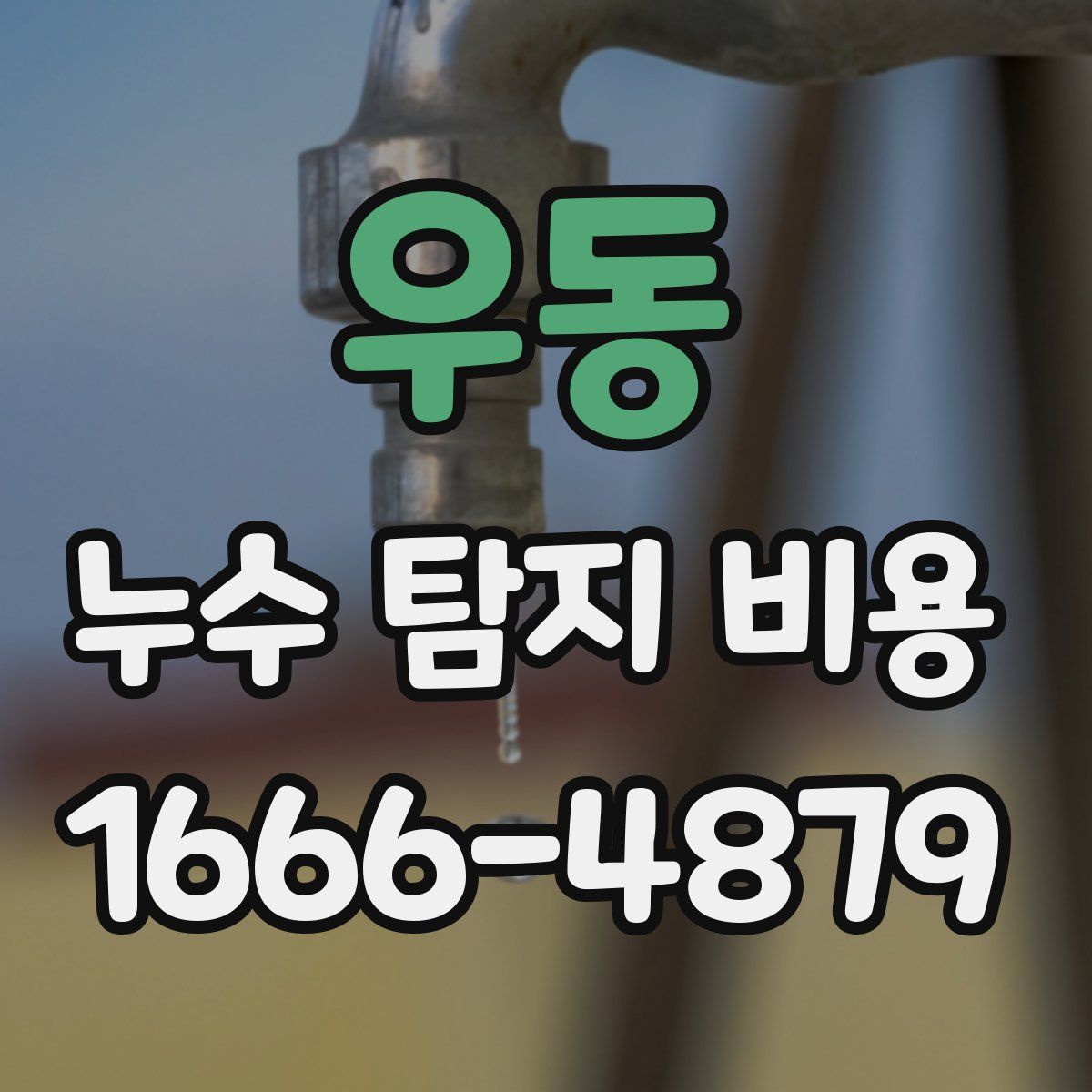 우동 누수 탐지 비용