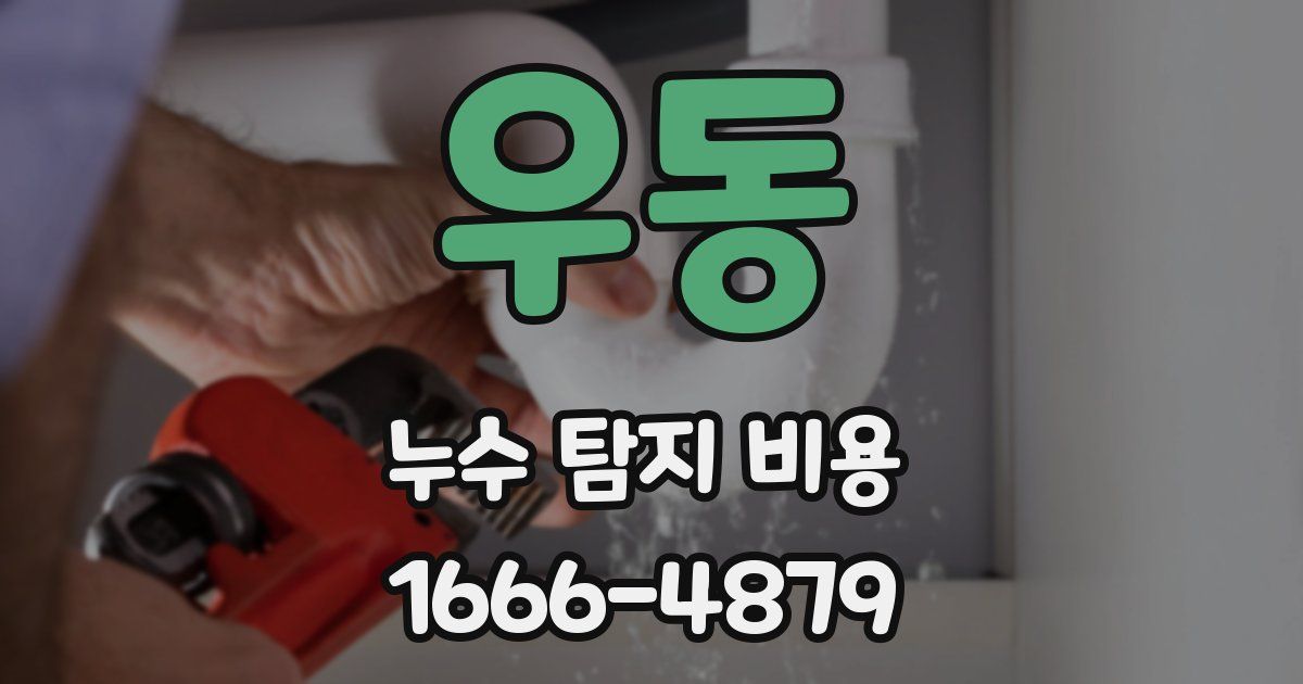 우동 누수 탐지 비용