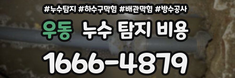 우동 누수 탐지 비용