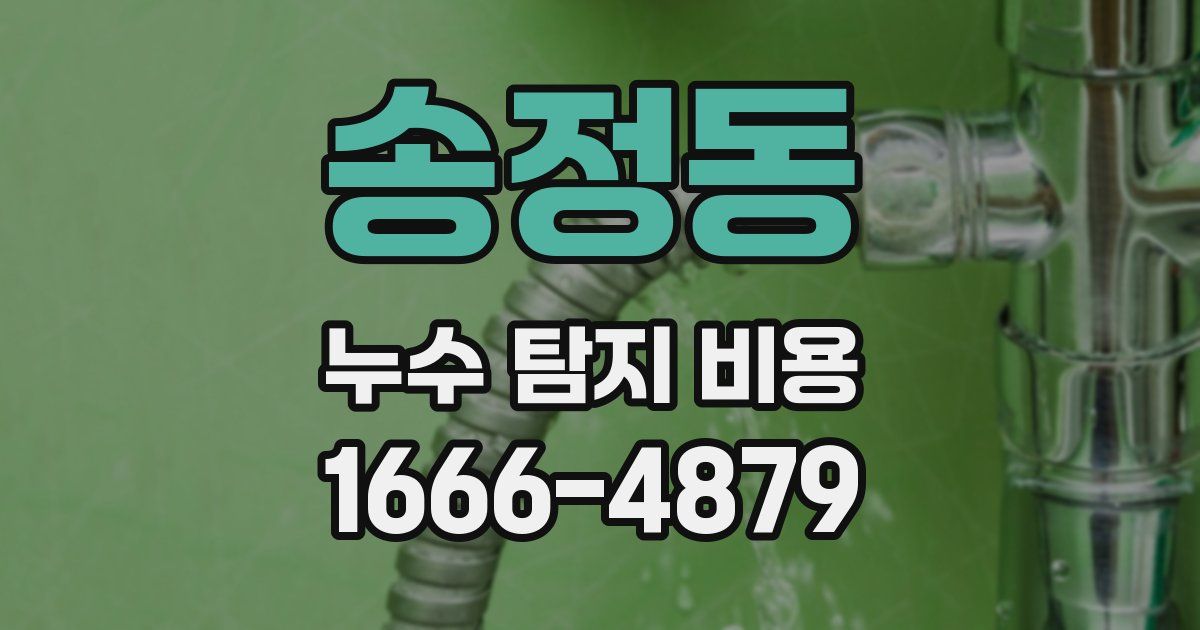 송정동 누수 탐지 비용