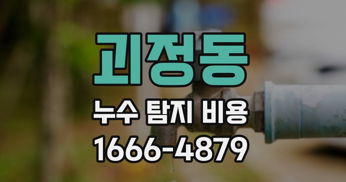 괴정동 누수 탐지 비용