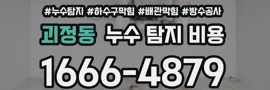 괴정동 누수 탐지 비용