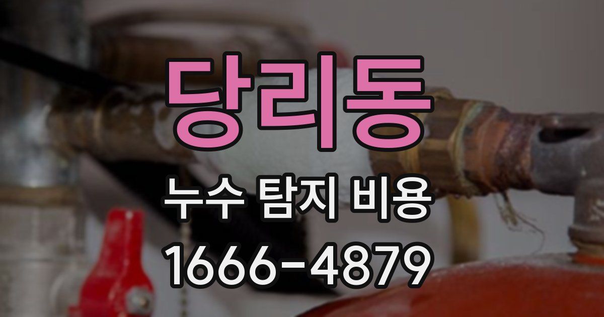 당리동 누수 탐지 비용