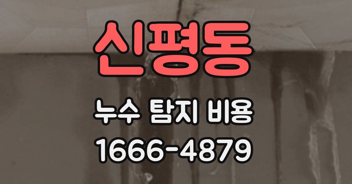 신평동 누수 탐지 비용