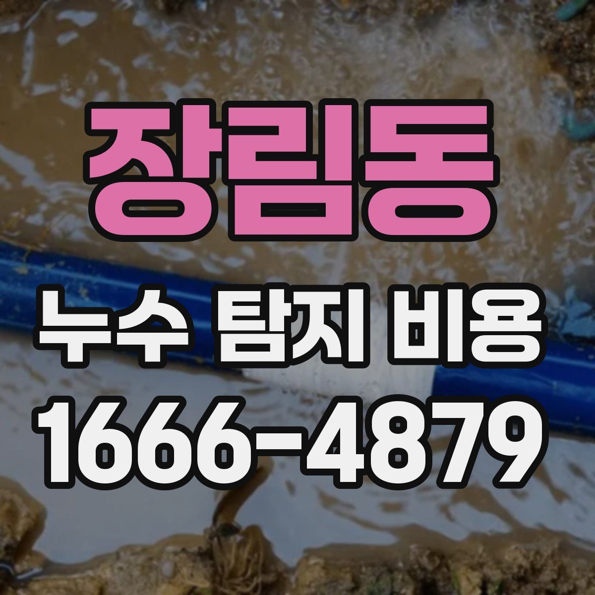 장림동 누수 탐지 비용