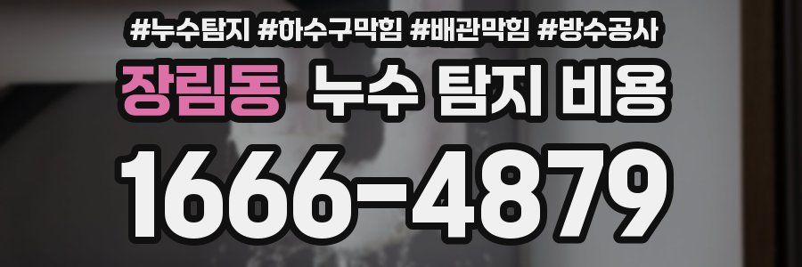 장림동 누수 탐지 비용