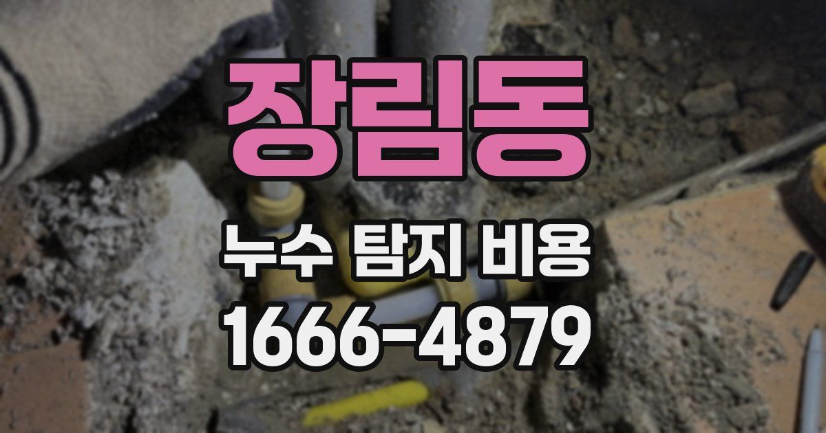장림동 누수 탐지 비용
