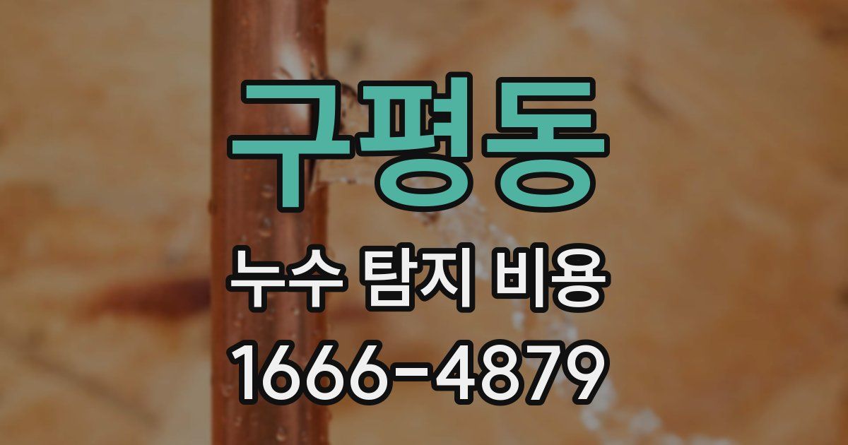 구평동 누수 탐지 비용