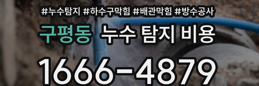 구평동 누수 탐지 비용
