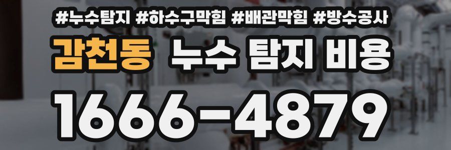 감천동 누수 탐지 비용