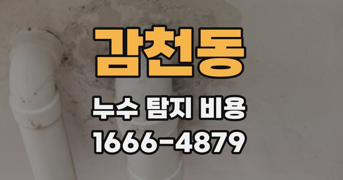 감천동 누수 탐지 비용
