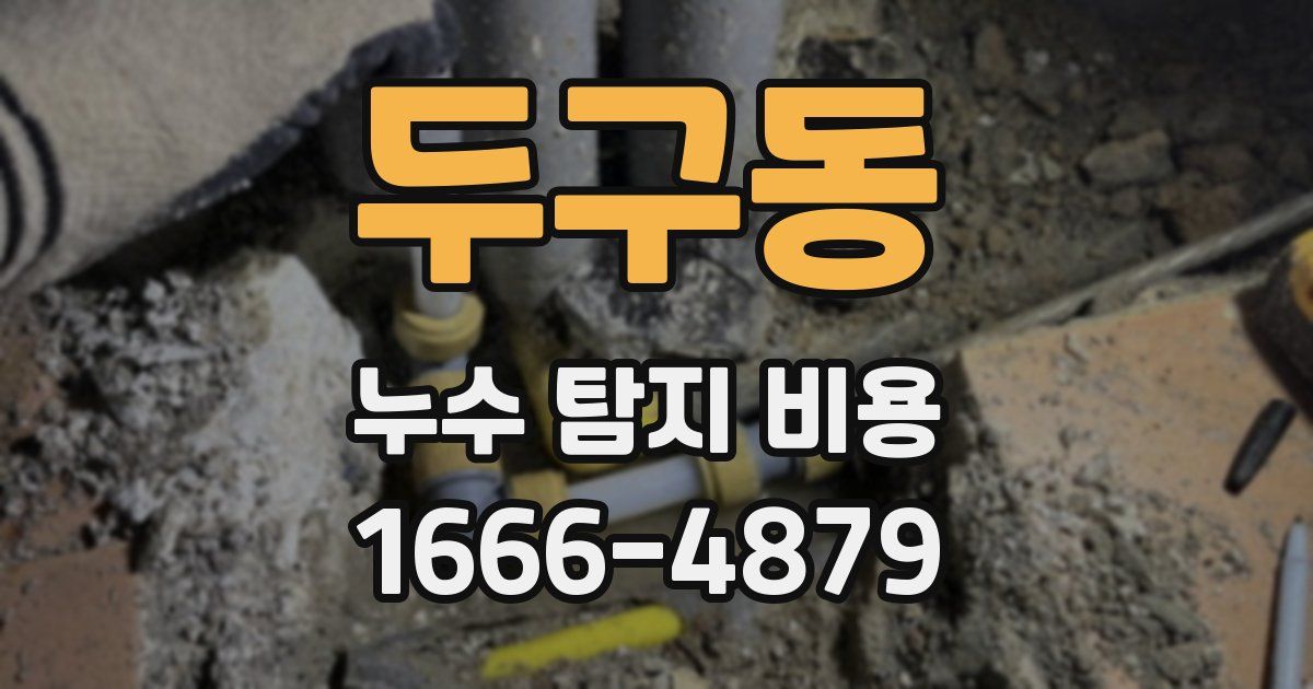 두구동 누수 탐지 비용