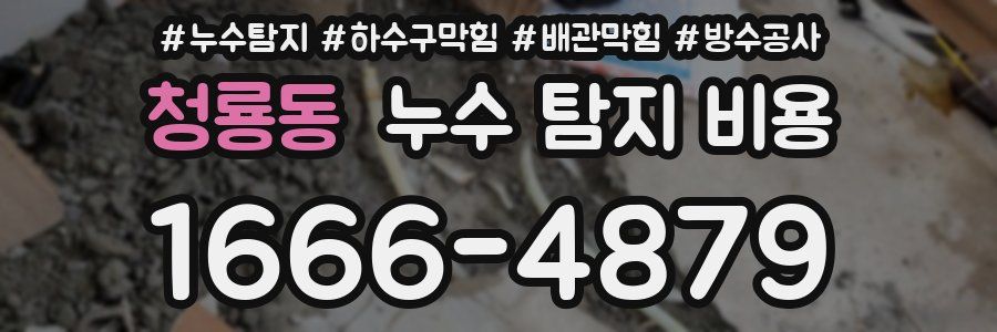 청룡동 누수 탐지 비용