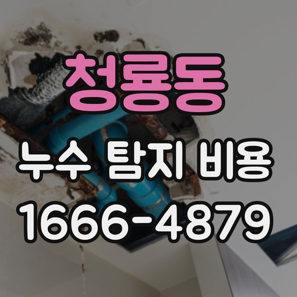 청룡동 누수 탐지 비용