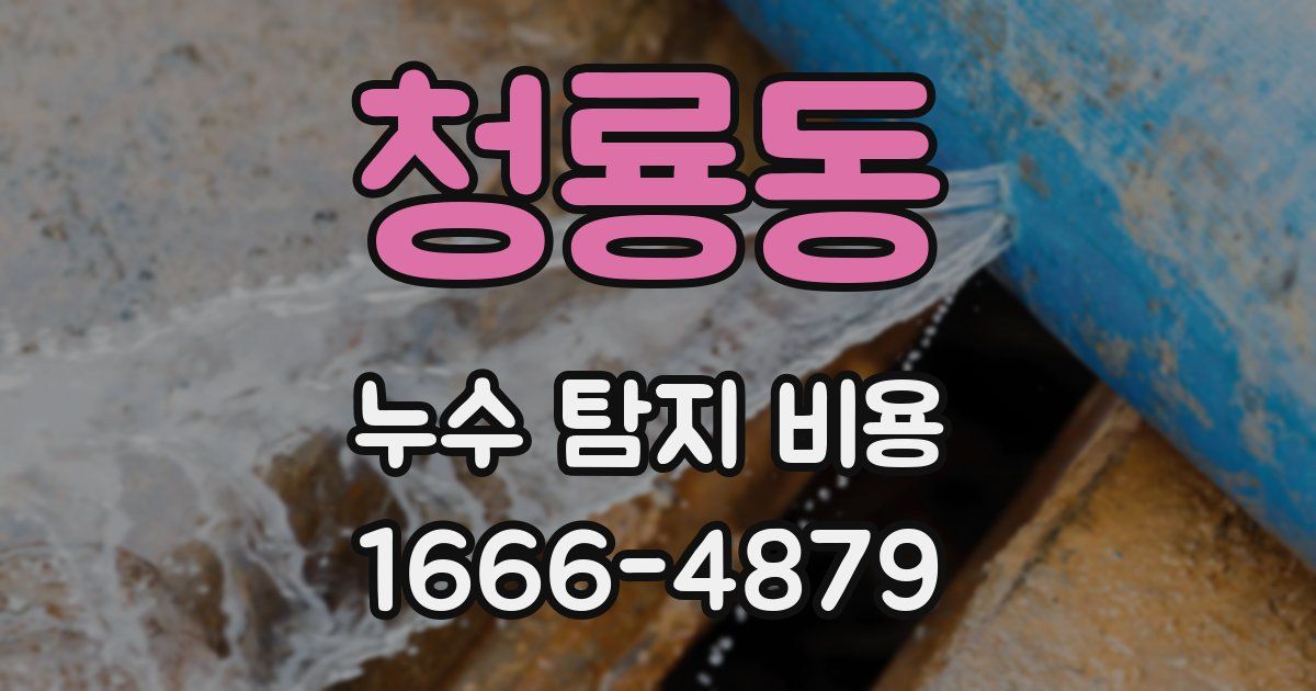 청룡동 누수 탐지 비용